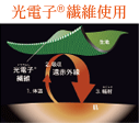 光電子繊維使用